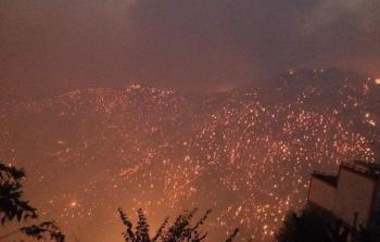 سبب حرائق الغابات في مدينة تيزي وزو بالجزائر