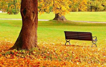 فصل الخريف 2021