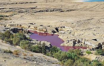 سبب ظهور مياه حمراء اللون في منطقة البحر الميت في الأردن