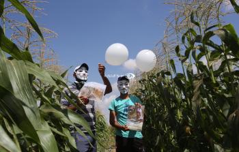 فلسطينيون يطلقون بالونات تحمل صور الأسرى الفارين من سجن جلبوع