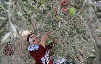 انطلاق حملة فزعة في فلسطين