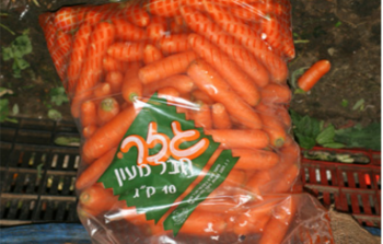 محصول الجزر الاسرائيلي