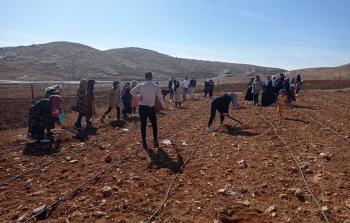 المركز الفلسطيني ينفذ يوم حقلي في شرق يطا 