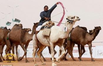 مسابقة ملكة الجمال بالسعودية