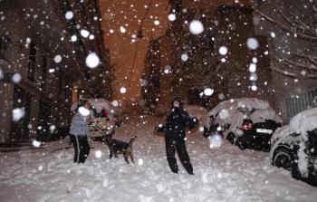 عاصفة ألفيس