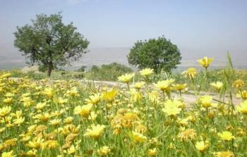 الربيع في فلسطين