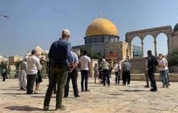 مفتي القدس يدين اقتحام أحد المستوطنين مسجداً في القدس