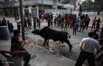 أجواء أول أيام العيد وذبح الأضاحي في قطاع غزة