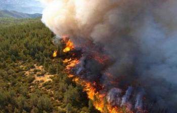 حرائق غابات واسعة في الجزائر