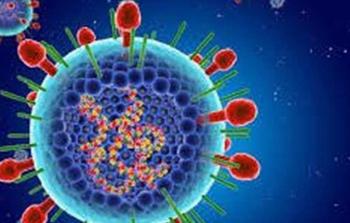 فيروس المخلوي التنفسي