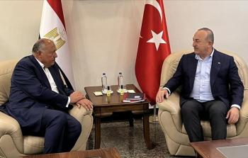 جانب من لقاء وزير الخارجية التركي مع نظيره المصري