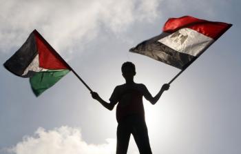طفل يرفع علمي مصر وفلسطين - تعبيرية