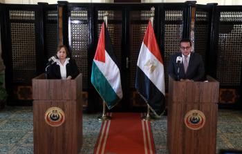 تفاصيل بروتوكولات التعاون بين وزارتي الصحة المصرية والفلسطينية