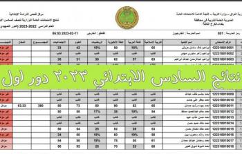 رابط نتائج السادس الابتدائي 2023 الأنبار العراقية