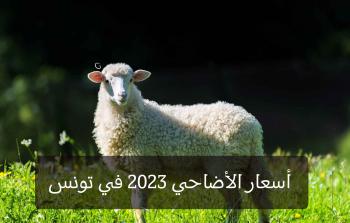 أسعار الأضاحي 2023 في تونس