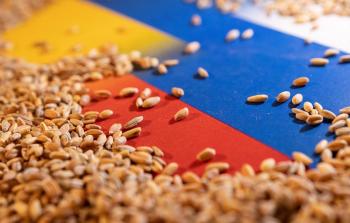 روسيا تعلن توقف  اتفاقية تصدير الحبوب وواشنطن تعقب / صورة توضيحية