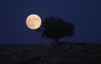 صور القمر الأزرق في سماء فلسطين اليوم.. تصوير الفرنسية