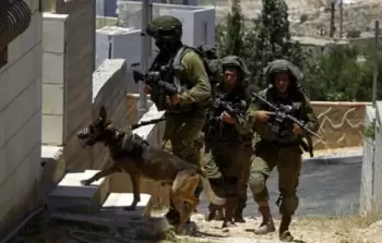 استخدام الاحتلال الكلاب ضد المعتقلين الفلسطييين