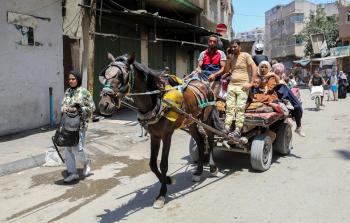 المجلس النرويجي للاجئين يحذر من مجاعة وشيكة وسط وجنوب قطاع غزة