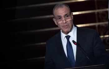 وزير خارجية مصر بدر عبد العاطي