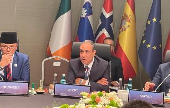 بدر عبد العاطي وزير الخارجية المصري