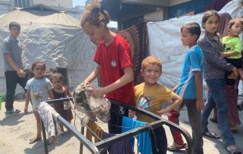 رهف فرج: طفولة مفقودة وصمود أمام قسوة الحياة في غزة