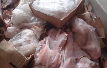 اتلاف 6 طن من الدجاج الفاسد وسط قطاع غزة