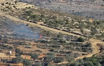 طريق واد أم سلمونة