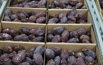 التمور الفلسطينية