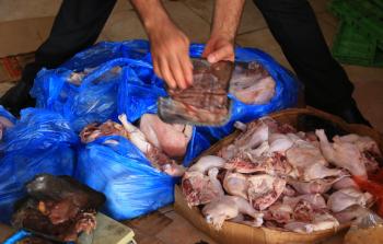 مباحث التموين في خان يونس تُتلف 2,500 كغم من المجمدات الفاسدة