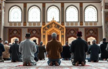 اغتنام النور: دليل 