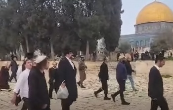 اقتحام المستوطنين للمسجد الأقصى اليوم
