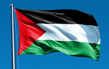 علم فلسطين - تعبيرية