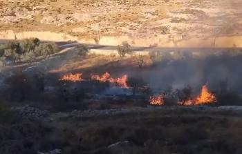 المستوطنون أشعلوا 799 حريقا في الضفة حتى تموز الماضي