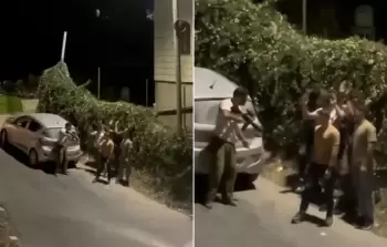 مستوطن مسلح ينكل بخمسة أطفال فلسطينيين في الخليل