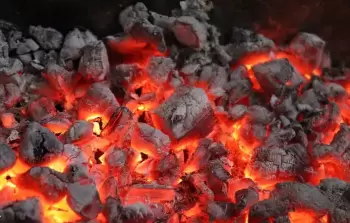 غزة: غلاء الفحم واحتكاره يهددان بإغلاق المطاعم والمنشآت