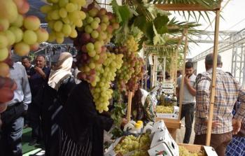افتتاح مهرجان أيام العنب الخليلي
