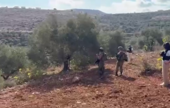 مستوطنون يهاجمون المزارعين في بيتا جنوب نابلس 