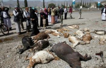 ماشية نفقت في صنعاء جراء قصف التحالف العربي الذي تقوده السعودية