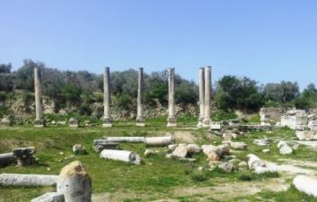  المنطقة الأثرية في سبسطية