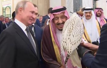الطائر الذي أهداه بوتين للملك سلمان