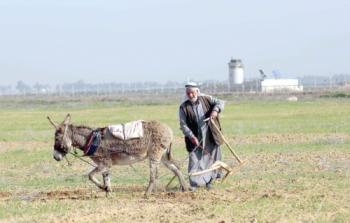 مزارع فلسطيني يعمل في أرضه القريبة من ابراج المراقبة الإسرائيلية 