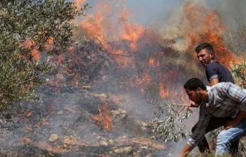 مواطنون يحاولون إطفاء نيران أشعلها المستوطنون في أراضيهم