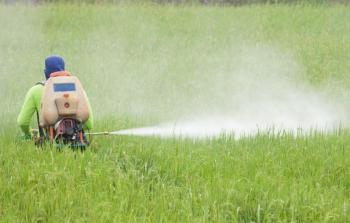 الزراعة بغزة تنفي وجود قرار يمنع استيراد المبيدات