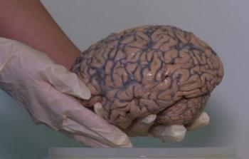 ربط دماغ الانسان بالانترنت