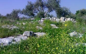 البيئة تدعو لزيارة المحميات الطبيعية لتعزيز الوجود الفلسطيني 