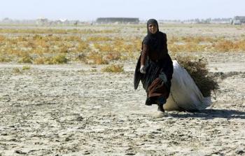 إصابة  موجة الجفاف الشديدة  المزراعين العراقين  مما  عاد عليهم  بخسارة  نصف  أرضهم  هذا العام
