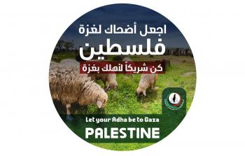 إطلاق حملة اجعل أضحاك لغزة.. فلسطين