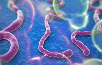 فيروس ايبولا ومخاطرة