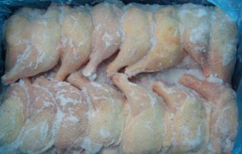 دجاج مجمد - توضيحية
